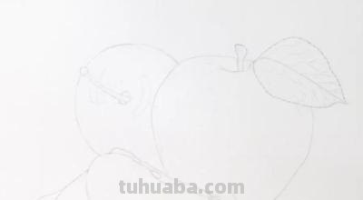 彩铅简笔画怎么画水果 彩铅画的最简单的水果？