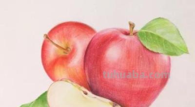 彩铅简笔画怎么画水果 彩铅画的最简单的水果？