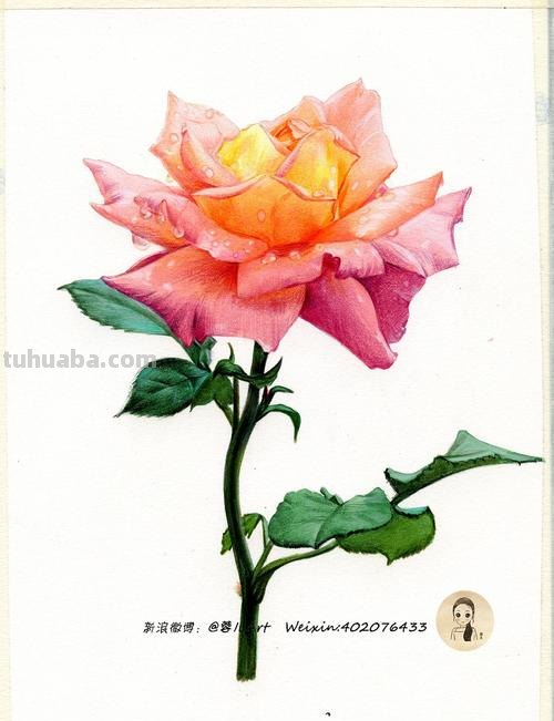 水溶性彩铅颜料怎么画 水溶性彩铅怎样作画？
