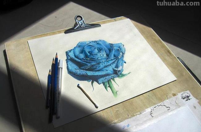 水溶性彩铅颜料怎么画 水溶性彩铅怎样作画？