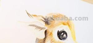 水溶性彩铅颜料怎么画 水溶性彩铅怎样作画？