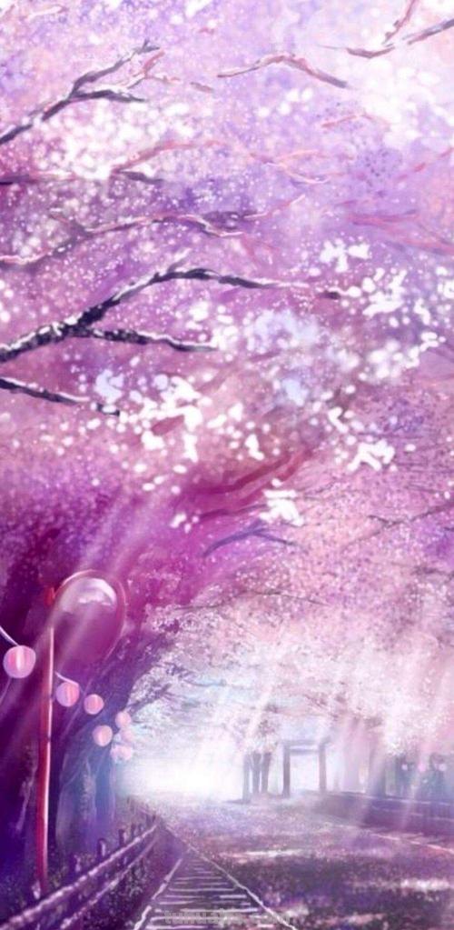 樱花 樱花动漫 