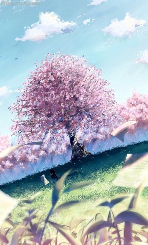 樱花 樱花动漫 