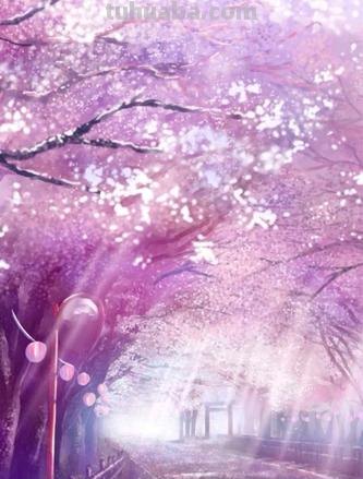 樱花 樱花动漫 