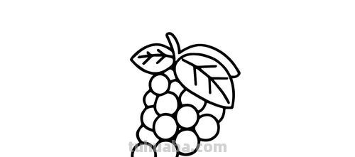 一串葡萄怎么画简笔画 葡萄的简笔画画法？