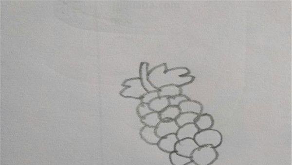 一串葡萄怎么画简笔画 葡萄的简笔画画法？