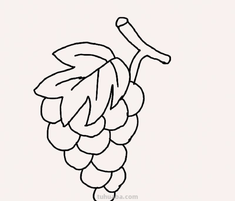 一串葡萄怎么画简笔画 葡萄的简笔画画法？