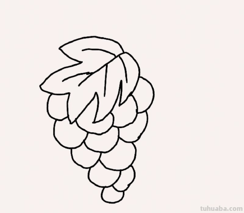 一串葡萄怎么画简笔画 葡萄的简笔画画法？