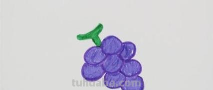 一串葡萄怎么画简笔画 葡萄的简笔画画法？