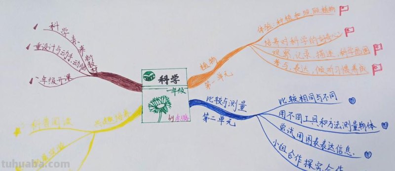小学电器思维导图怎么画 小学思维导图怎么做？