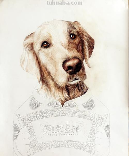 狗全身怎么画彩铅颜色 素描彩铅小狗教程？