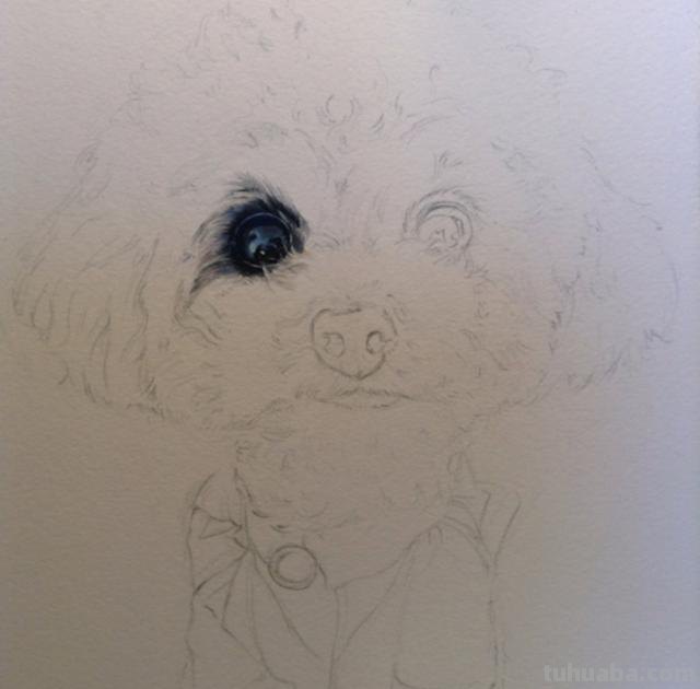 狗全身怎么画彩铅颜色 素描彩铅小狗教程？