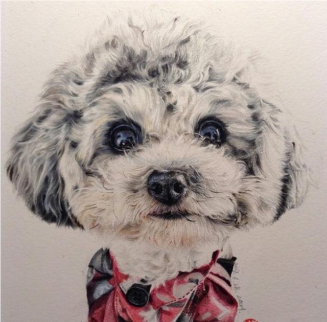 狗全身怎么画彩铅颜色 素描彩铅小狗教程？