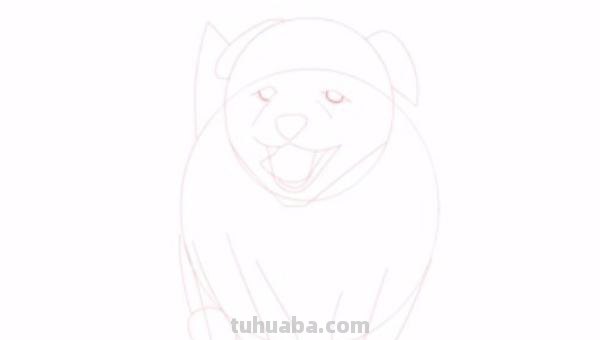 狗全身怎么画彩铅颜色 素描彩铅小狗教程？