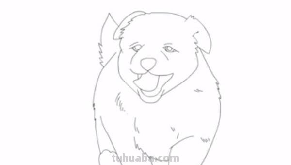 狗全身怎么画彩铅颜色 素描彩铅小狗教程？