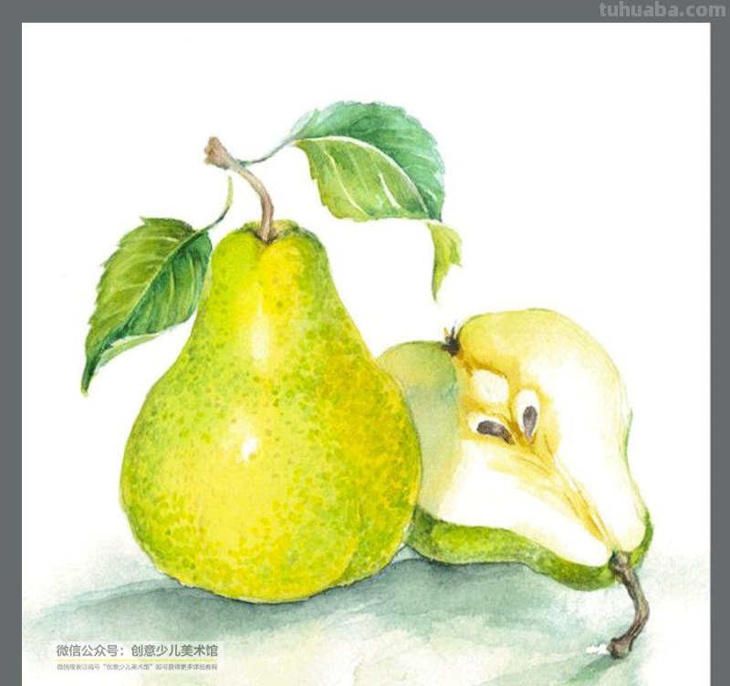 绘画素材｜水彩这样画水果，清新又甜美