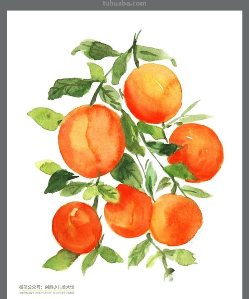 绘画素材｜水彩这样画水果，清新又甜美