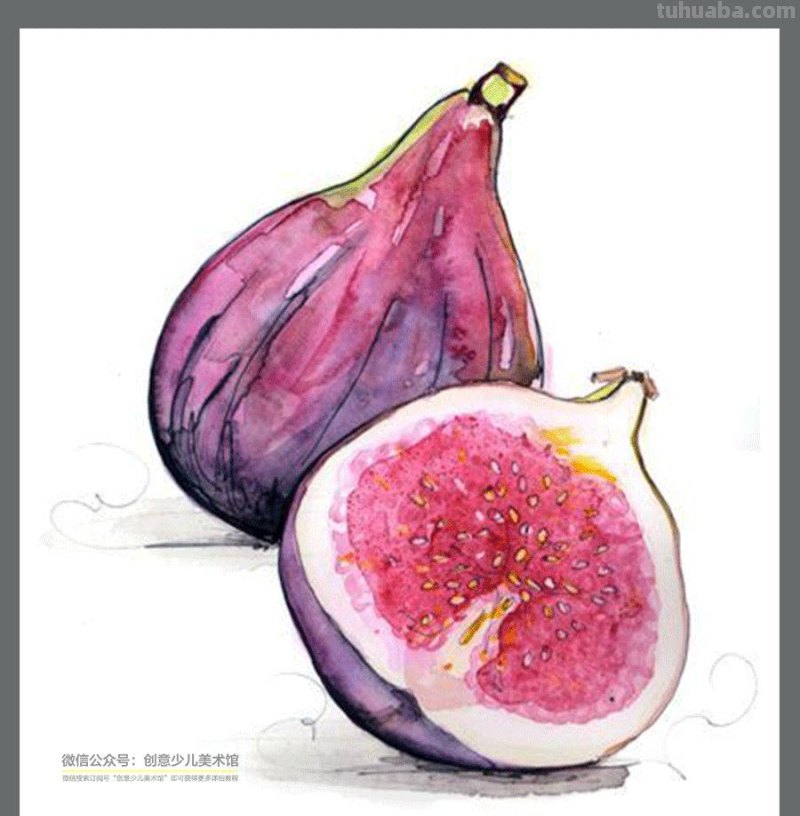 绘画素材｜水彩这样画水果，清新又甜美