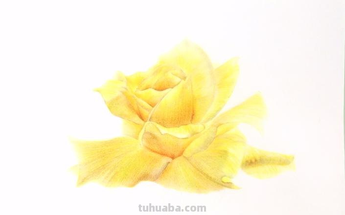 彩铅画花黄色怎么调 用彩铅怎样调黄色？