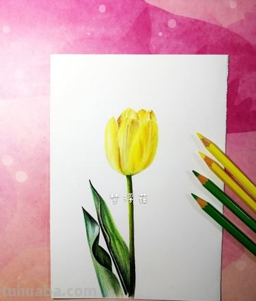 彩铅画花黄色怎么调 用彩铅怎样调黄色？