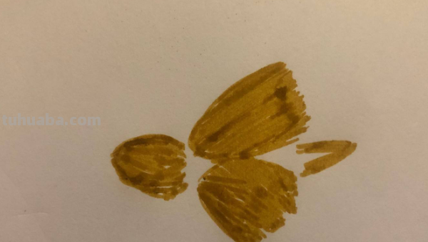 马克笔手绘教程有哪些?