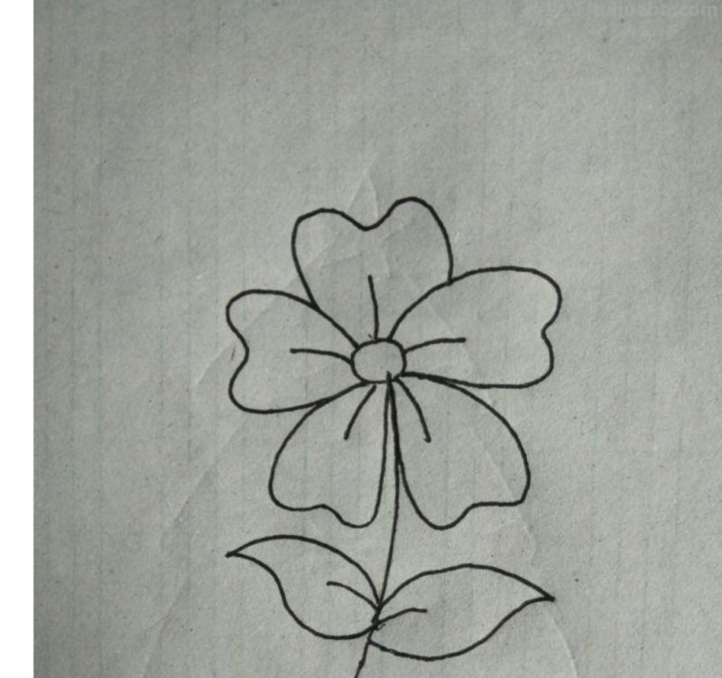 画花怎么画简笔画图片 简笔画：如何教小朋友画出美丽的花朵？