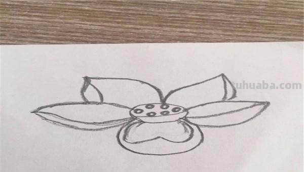 画花怎么画简笔画图片 简笔画：如何教小朋友画出美丽的花朵？