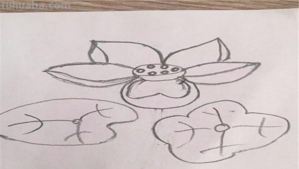 画花怎么画简笔画图片 简笔画：如何教小朋友画出美丽的花朵？