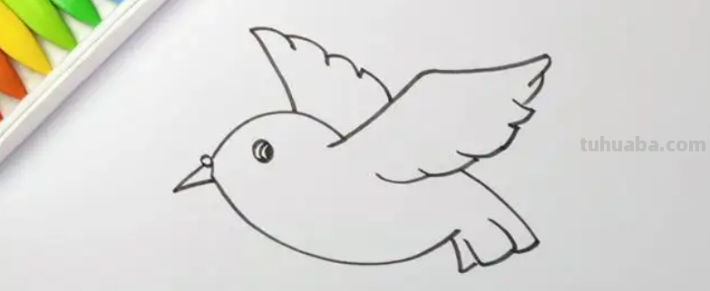 小鸟怎么画 儿童画