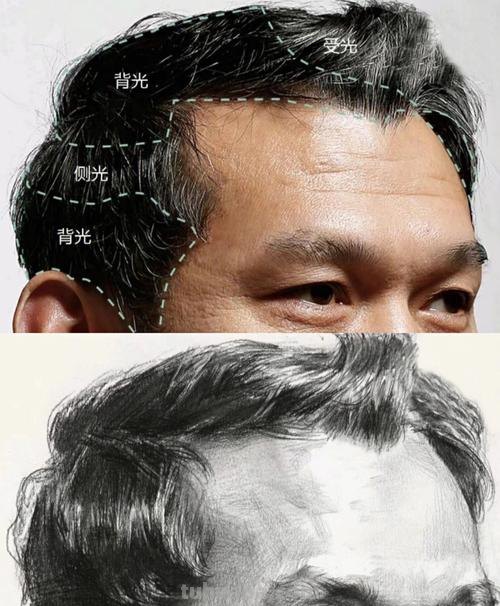 素描头发怎么画 素描头发怎么画出层次感