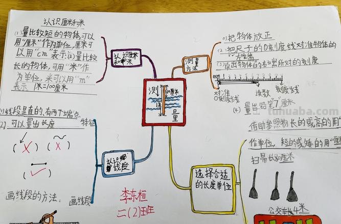 重量的思维导图怎么写 3年级下册第六单元思维导图怎么做?