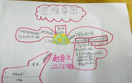 重量的思维导图怎么写 3年级下册第六单元思维导图怎么做?