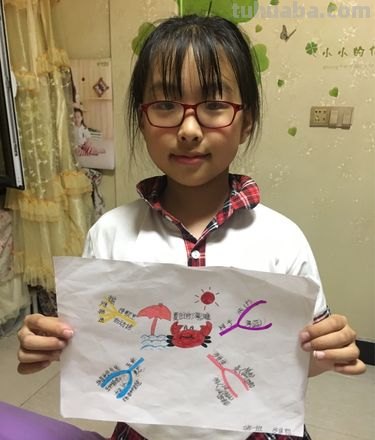 思维导图小王国怎么画 怎样画思维导图?