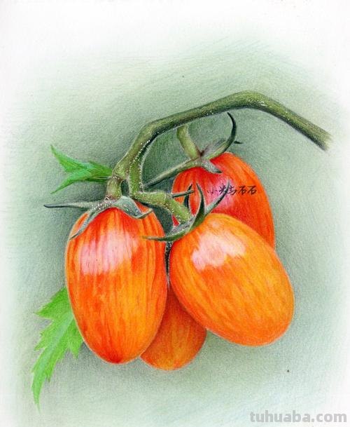 国画彩铅水果图片怎么画 水果蔬菜彩铅画教程？