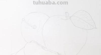 国画彩铅水果图片怎么画 水果蔬菜彩铅画教程？
