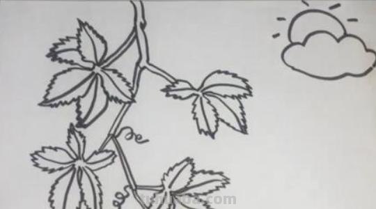 爬山虎的脚怎么画简笔画 8岁儿童学画画爬山虎的脚？