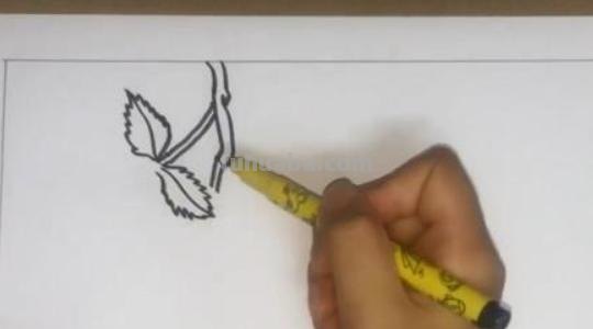 爬山虎的脚怎么画简笔画 8岁儿童学画画爬山虎的脚？