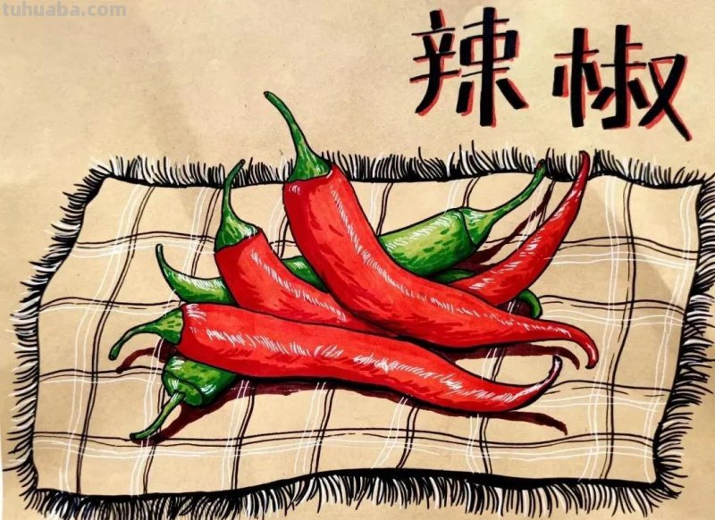 精选几十张超美创意绘画，细节感拉满！学习收藏系列！