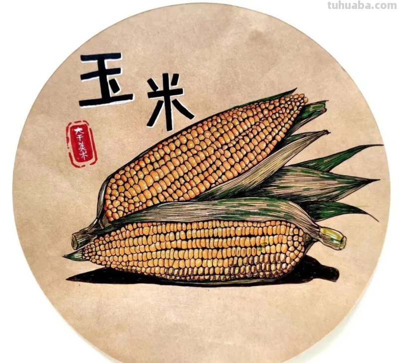 精选几十张超美创意绘画，细节感拉满！学习收藏系列！