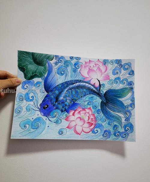 彩铅线描鲤鱼怎么画 鲤鱼怎么用彩铅涂色好看？