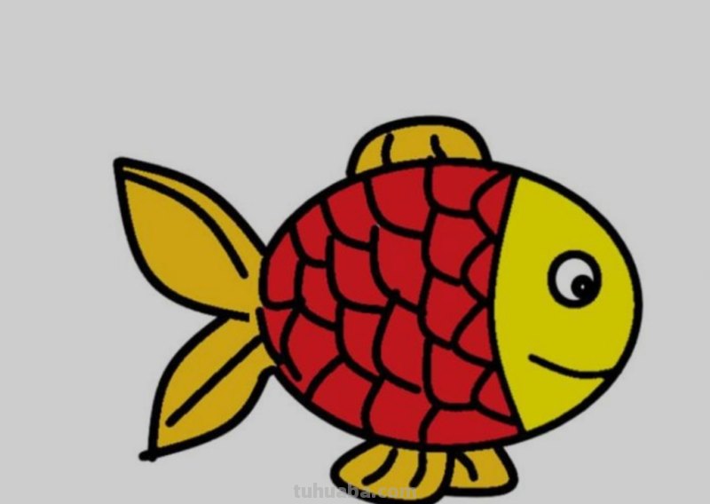彩铅线描鲤鱼怎么画 鲤鱼怎么用彩铅涂色好看？