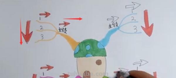 农村小孩思维导图怎么画 儿童思维导图简单画法？