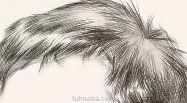 素描在画头发的时候有什么技巧?