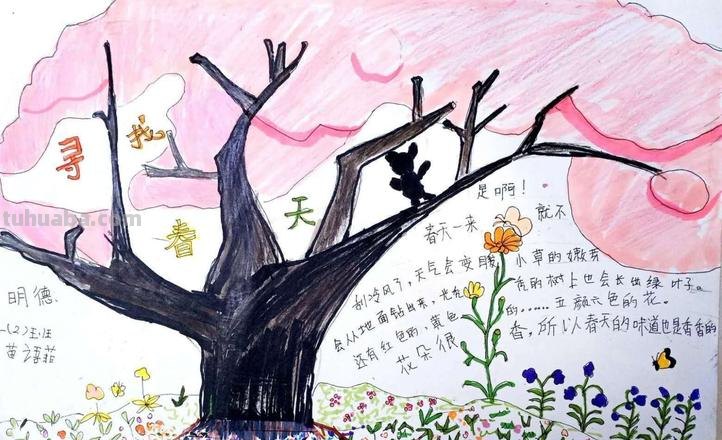 怎么创意画手抄报 如何设计一幅手抄报?
