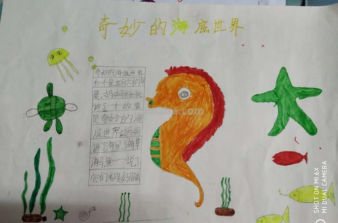 怎么创意画手抄报 如何设计一幅手抄报?