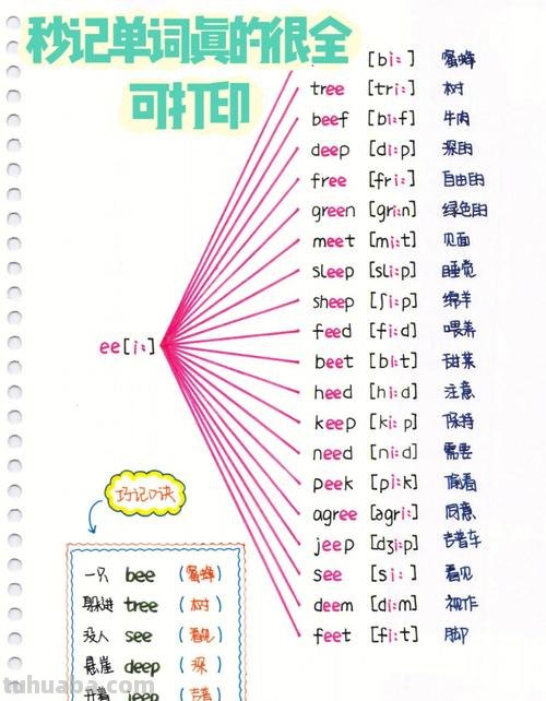 英语思维导图音节怎么写 48个音标思维导图记忆法口诀?