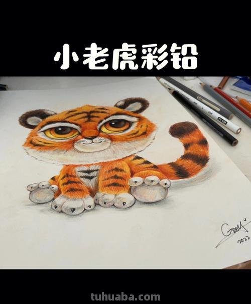 小老虎怎么画彩铅色 如何画一只老虎,画老虎教程？