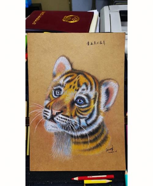 小老虎怎么画彩铅色 如何画一只老虎,画老虎教程？