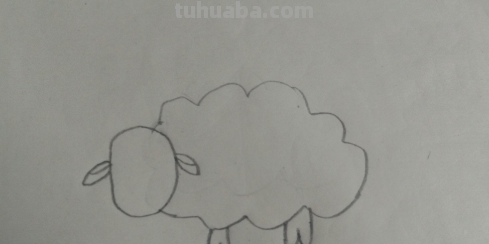 动物简笔画步骤