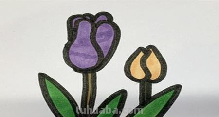 怎么画百合花简笔画 简笔画百合花的步骤？